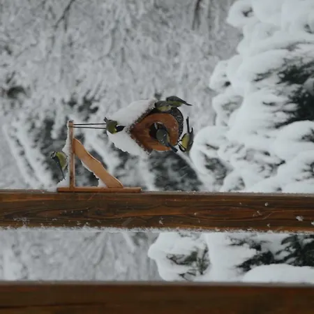 Chalet Morville Vénosc